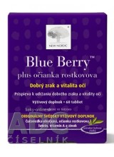 NEW NORDIC Blue Berry