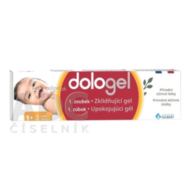 dologel 1. zúbok