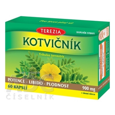 TEREZIA KOTVIČNÍK